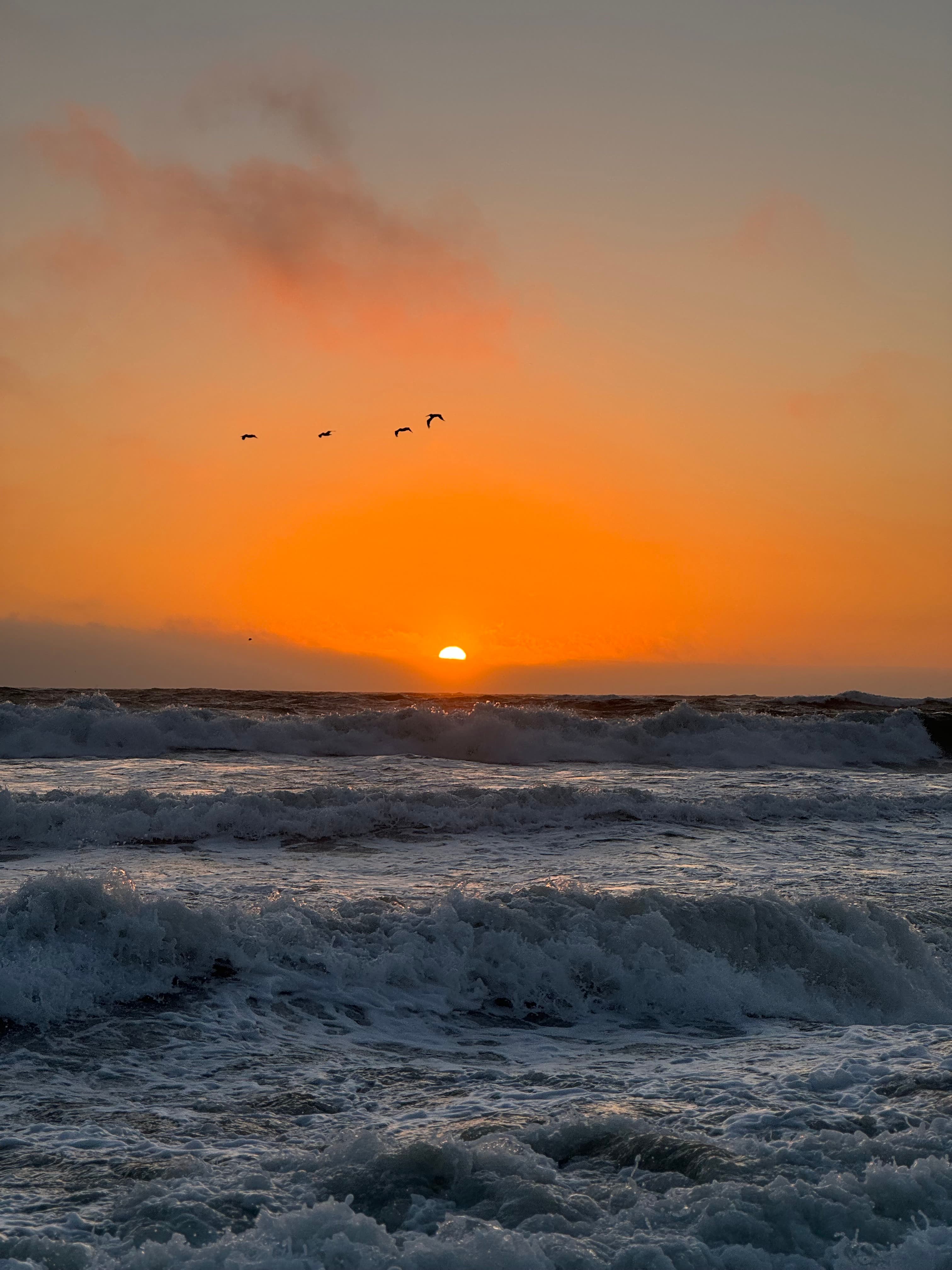 The Last Light: birds tracing the edge of a setting sun over crashing waves