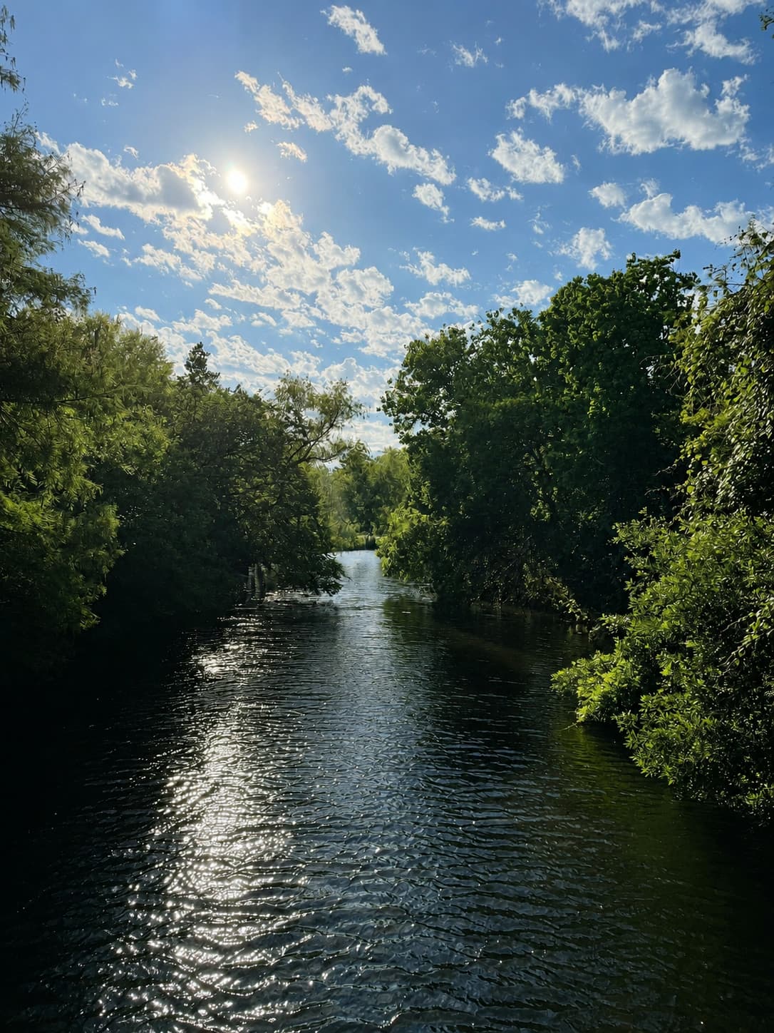 Water Way: a quiet channel cutting through summer green, sun caught in the ripples